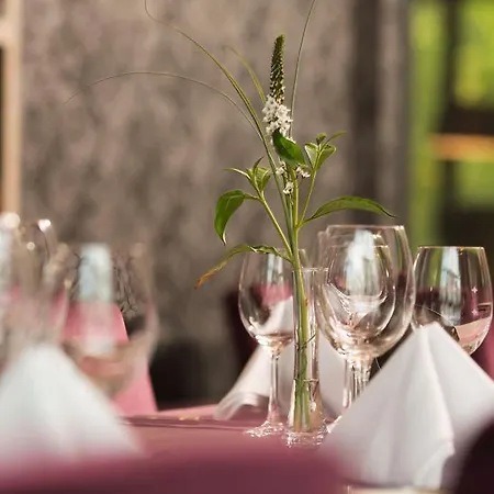 Hotel Steigenberger Parkhotel